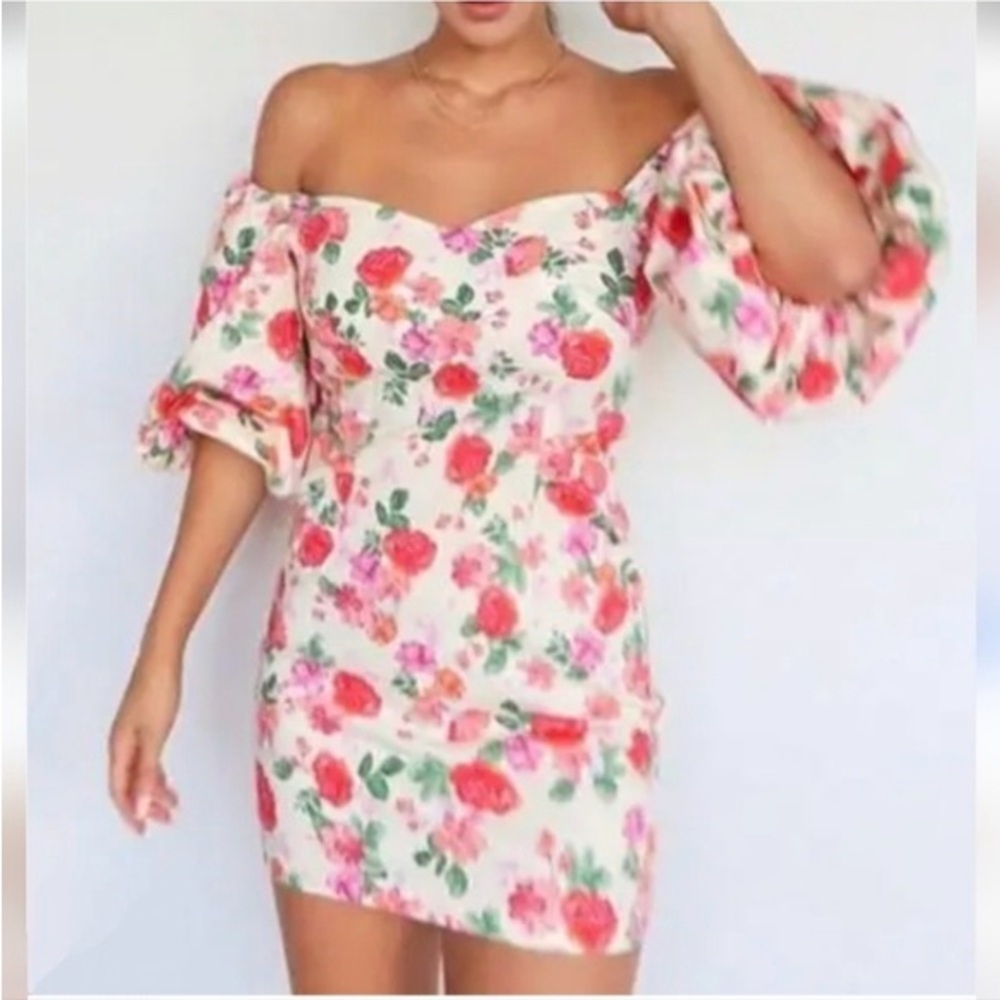 ZARA XS Floral Puffed Sleeves Mini Dress